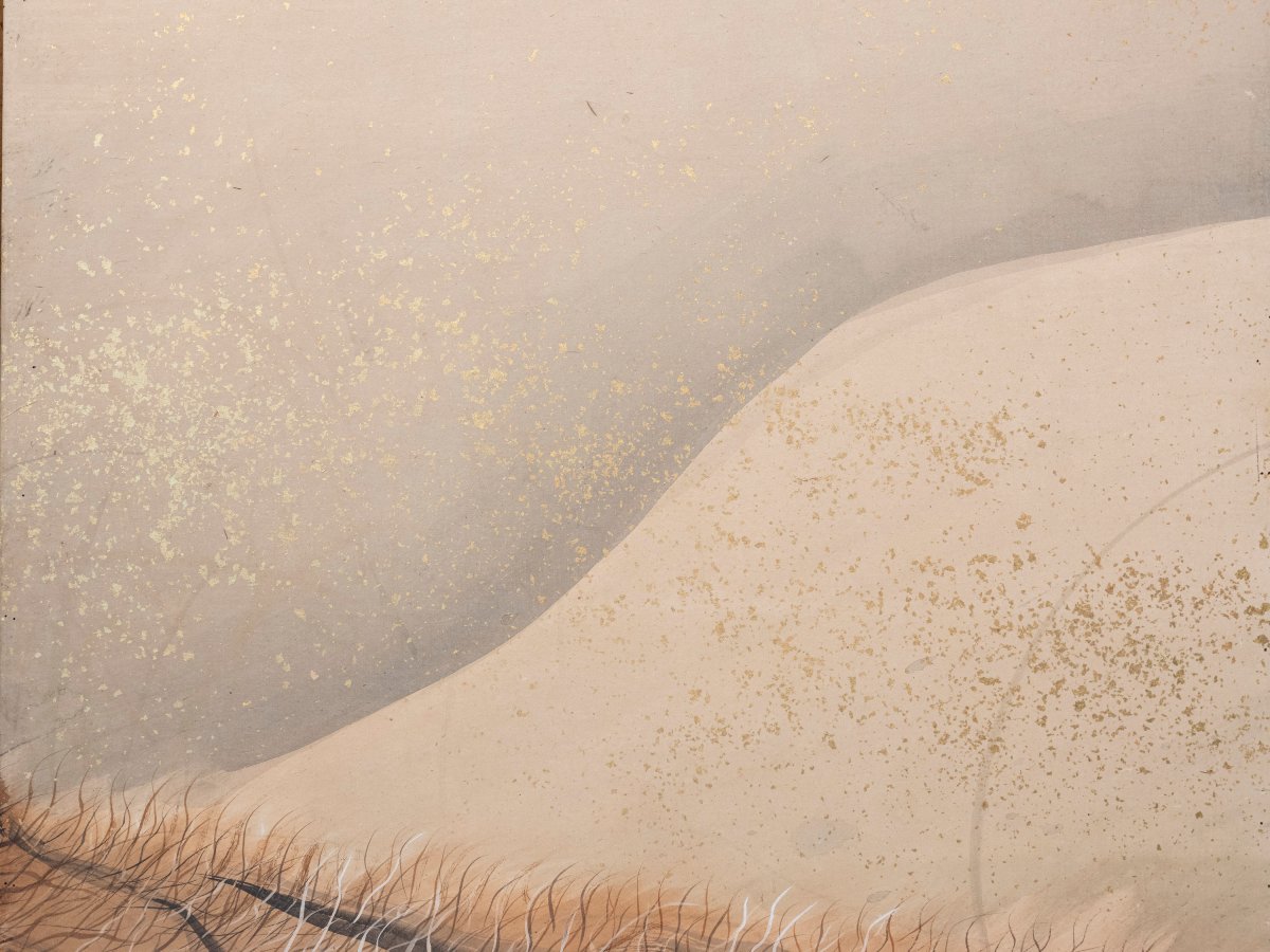 Paravento a sei pannelli raffigurante una maestosa tigre-photo-5