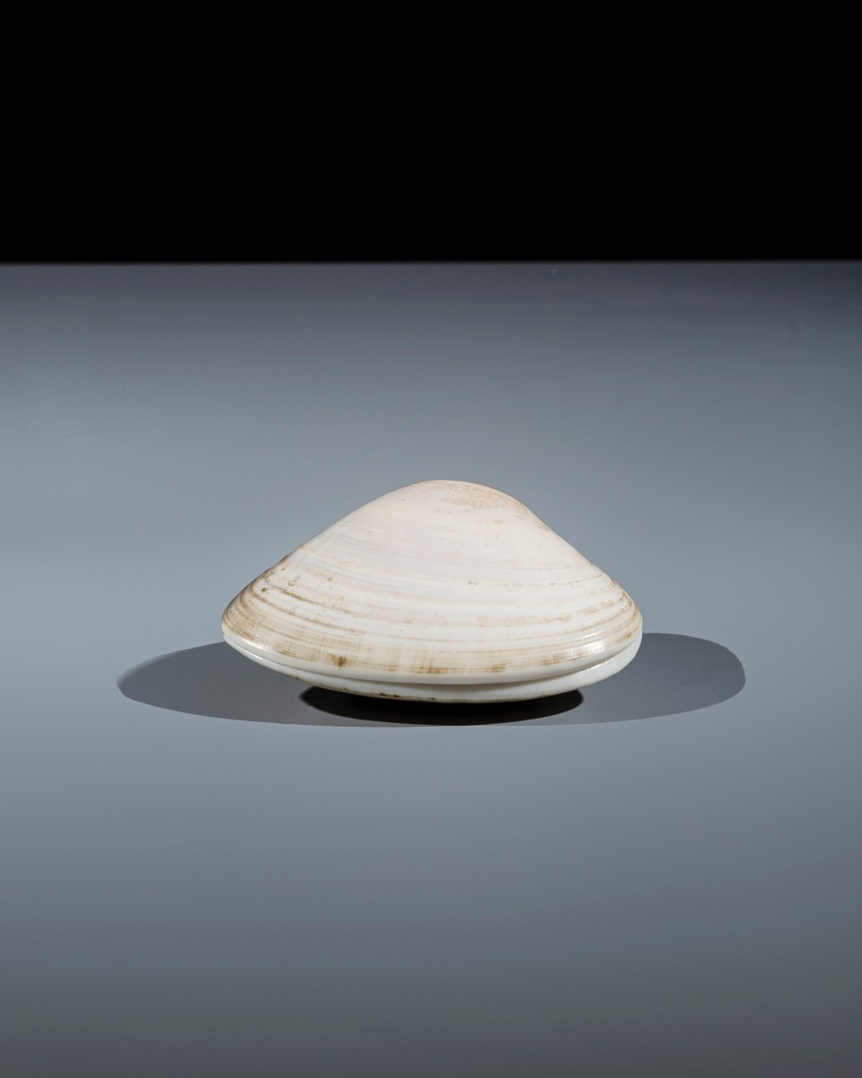 Scatola portaincenso conchiglia con iscrizioni waka