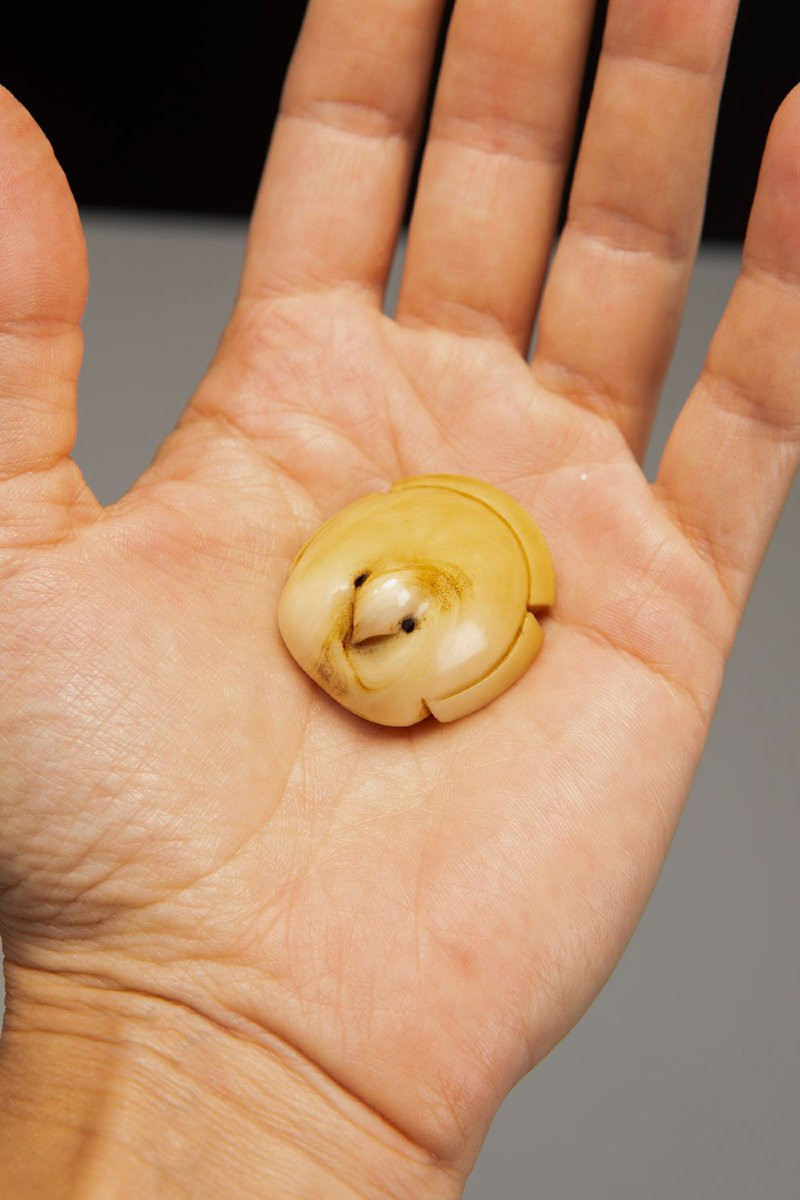 Netsuke in avorio raffigurante Fukura Suzume, firmato Komin-photo-4