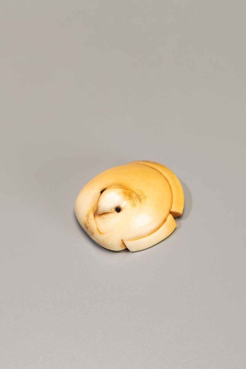 Netsuke in avorio raffigurante Fukura Suzume, firmato Komin