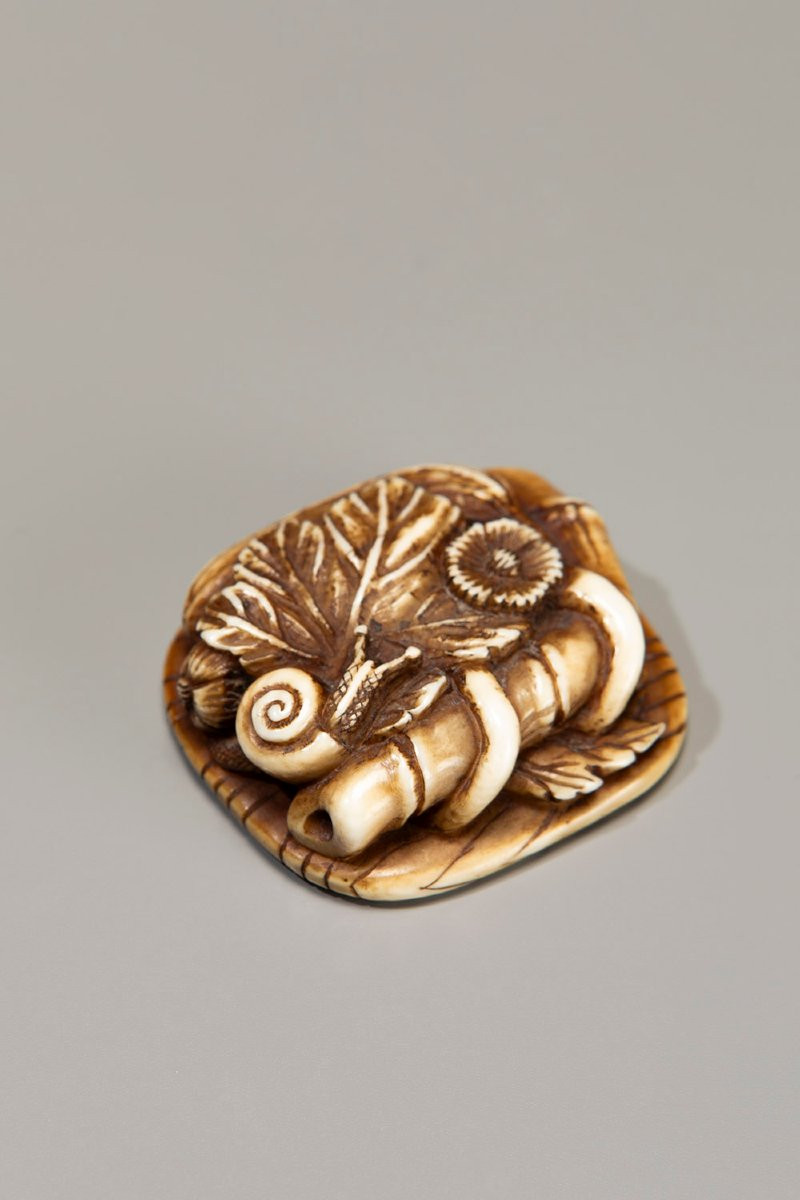 Netsuke in avorio raffigurante una chiocciola su un gruppo di foglie-photo-2