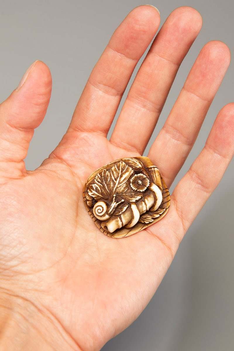 Netsuke in avorio raffigurante una chiocciola su un gruppo di foglie-photo-3