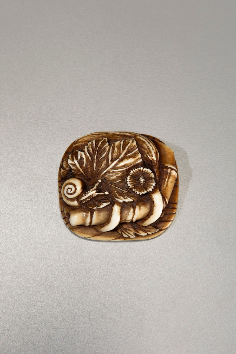 Netsuke in avorio raffigurante una chiocciola su un gruppo di foglie