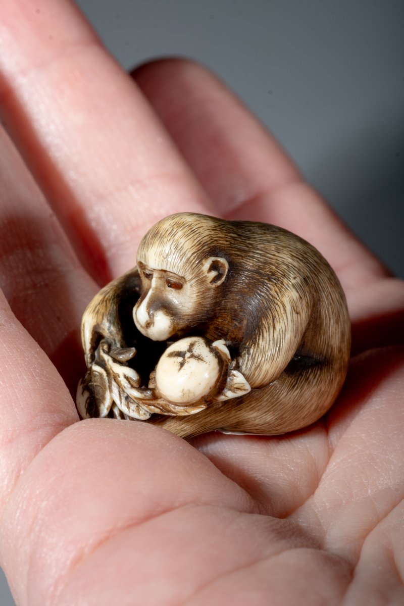 Netsuke in avorio raffigurante una scimmia con frutto-photo-2
