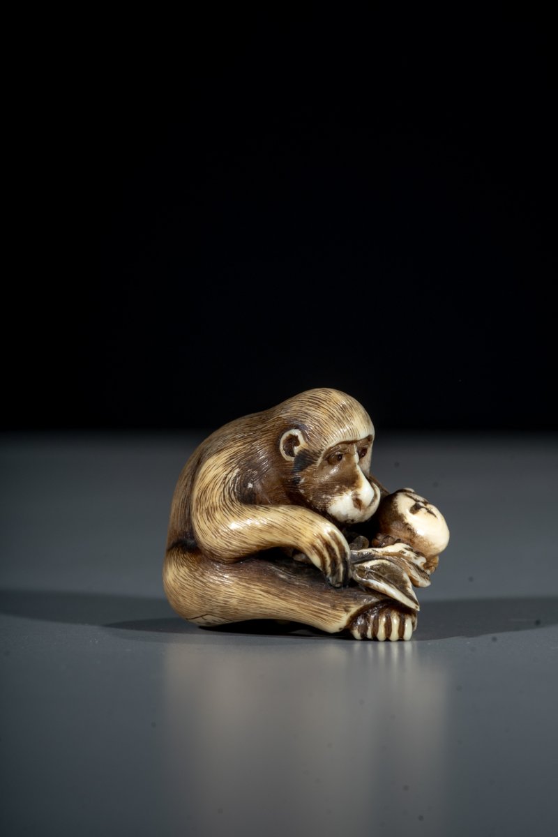 Netsuke in avorio raffigurante una scimmia con frutto-photo-3