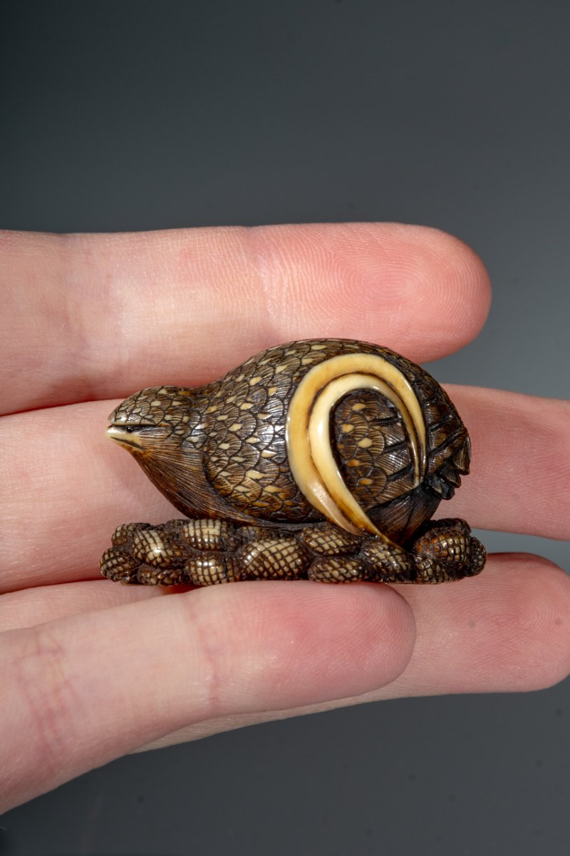 Netsuke in avorio raffigurante una quaglia con miglio, firmato Masakazu-photo-3