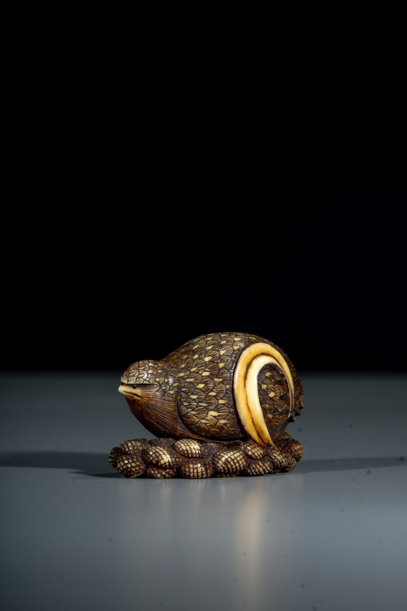 Netsuke in avorio raffigurante una quaglia con miglio, firmato Masakazu