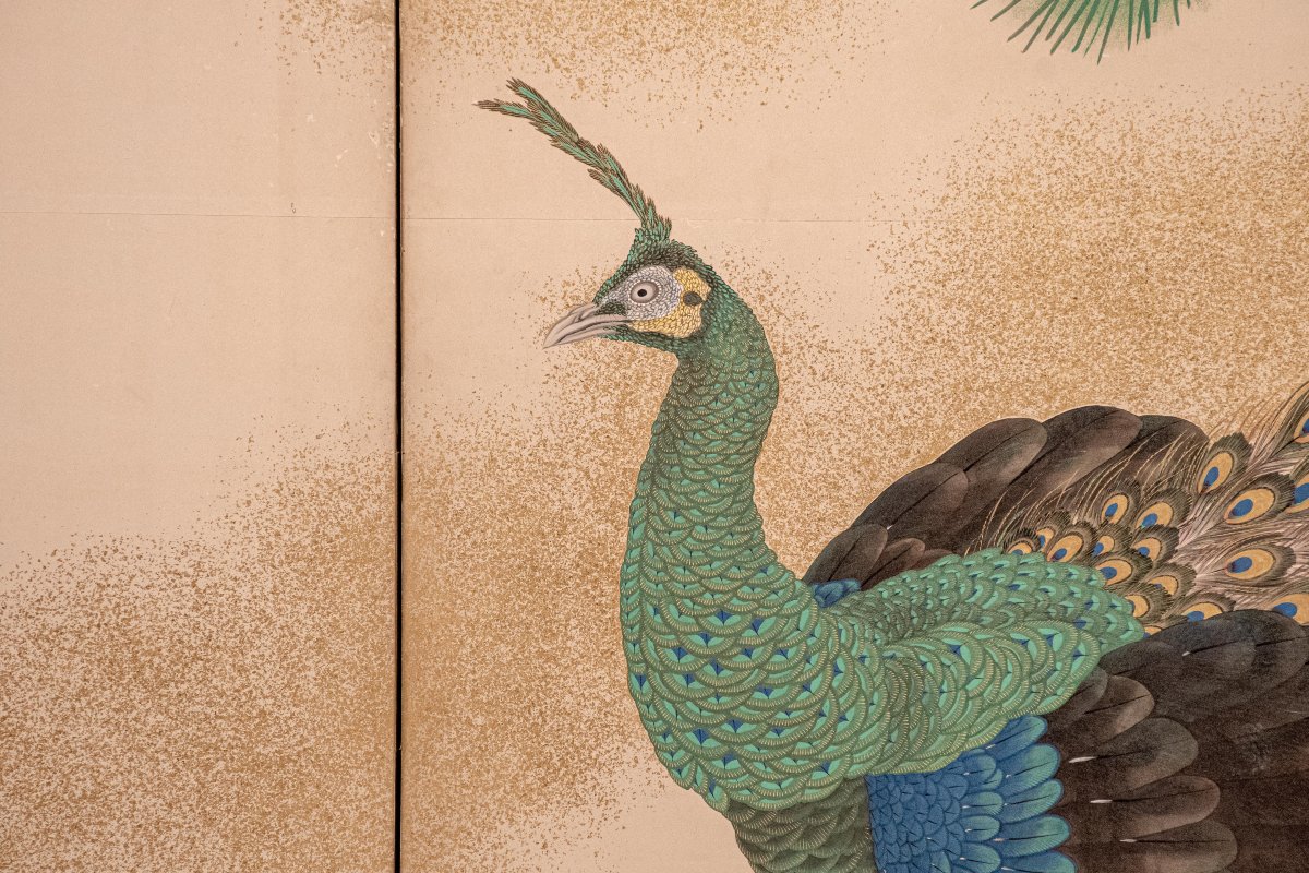 Paravento a sei pannelli su carta con polvere d’oro raffigurante un maestoso pavone-photo-3