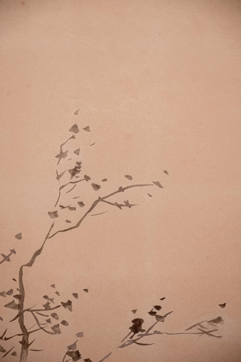 Paravento giapponese a due pannelli con gru della Manciuria e pino -photo-5