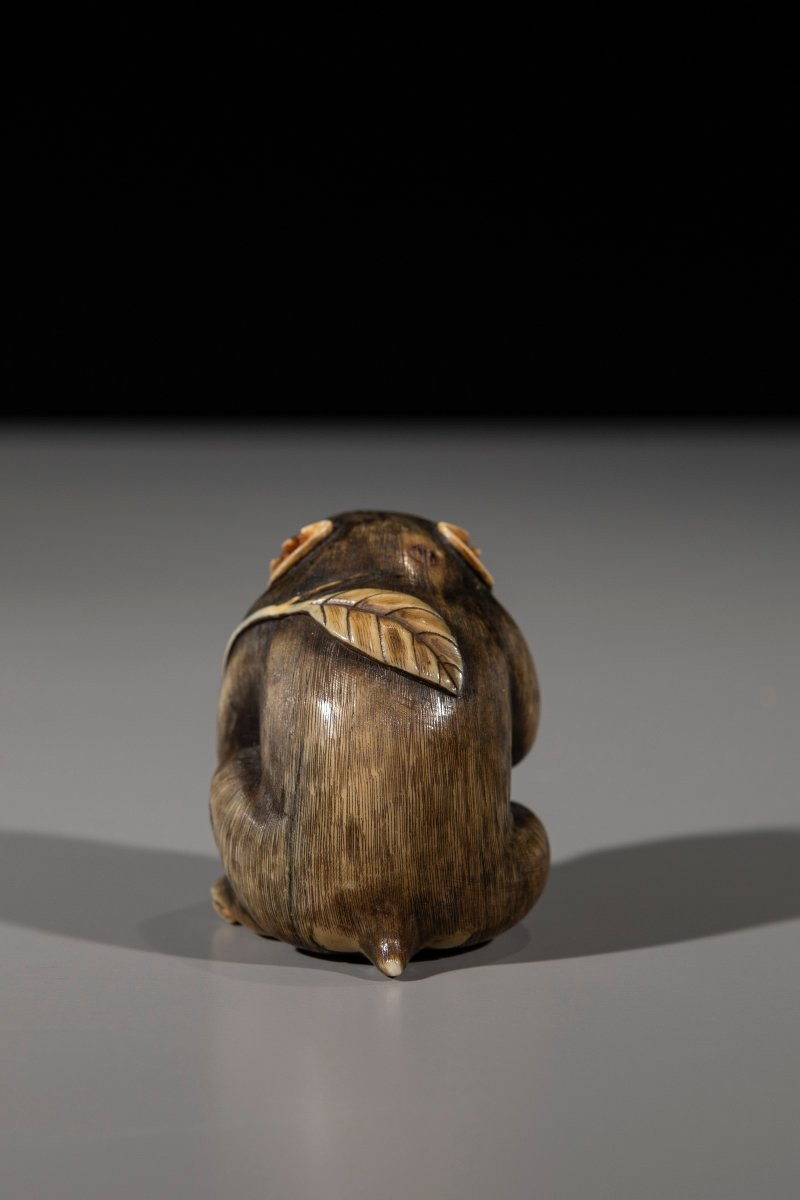 Netsuke in avorio raffigurante una scimmia con frutto -photo-3