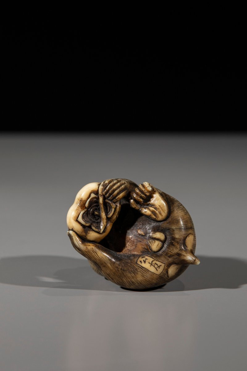 Netsuke in avorio raffigurante una scimmia con frutto -photo-4