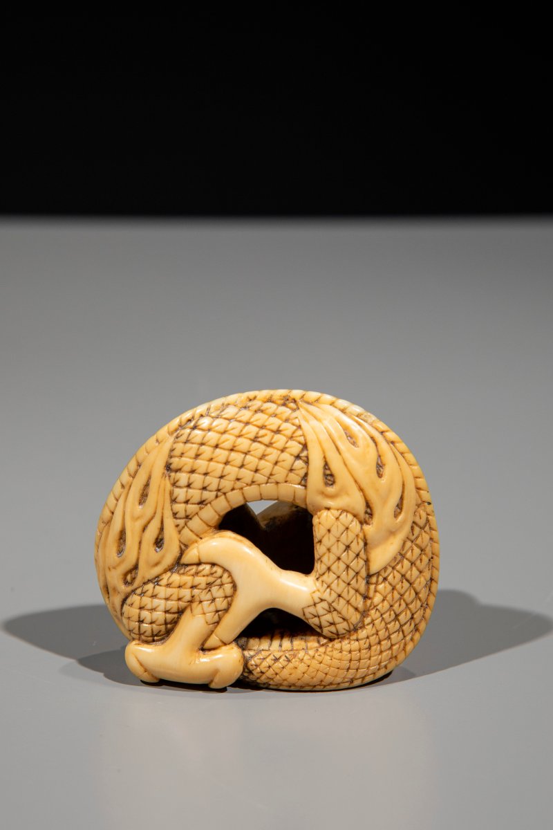 Netsuke in avorio raffigurante un drago avvolto su se stesso-photo-2