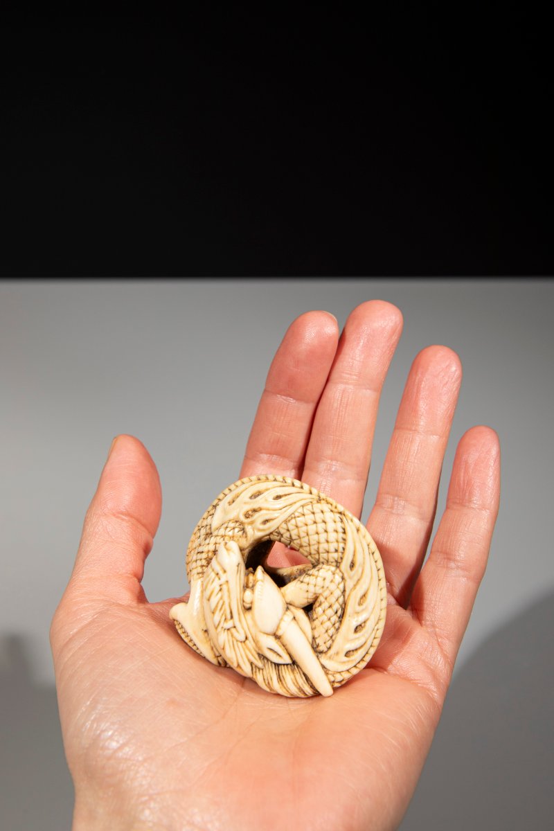 Netsuke in avorio raffigurante un drago avvolto su se stesso-photo-3