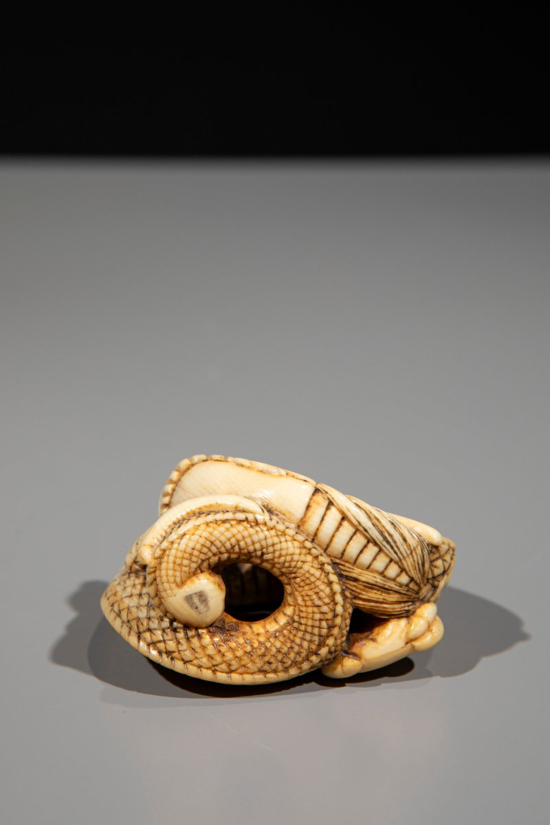 Netsuke in avorio raffigurante un drago avvolto su se stesso-photo-4