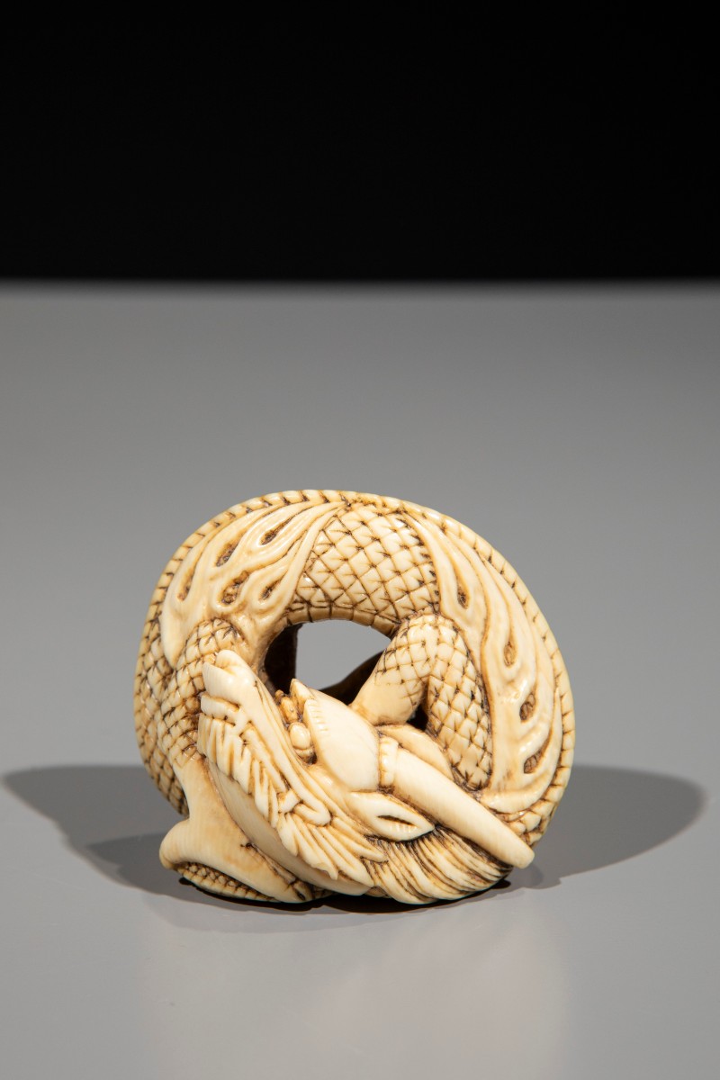 Netsuke in avorio raffigurante un drago avvolto su se stesso