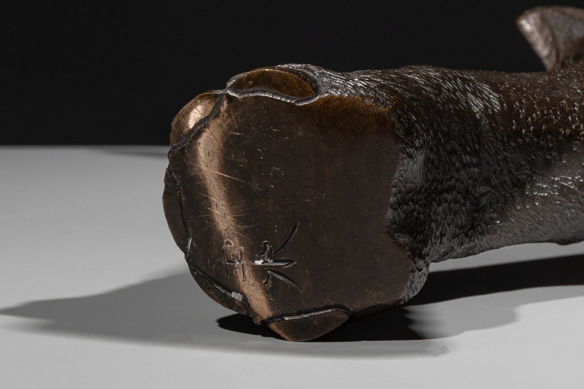 Okimono in bronzo raffigurante un elefante con la proboscide sollevata, firmato Gyokusui -photo-8