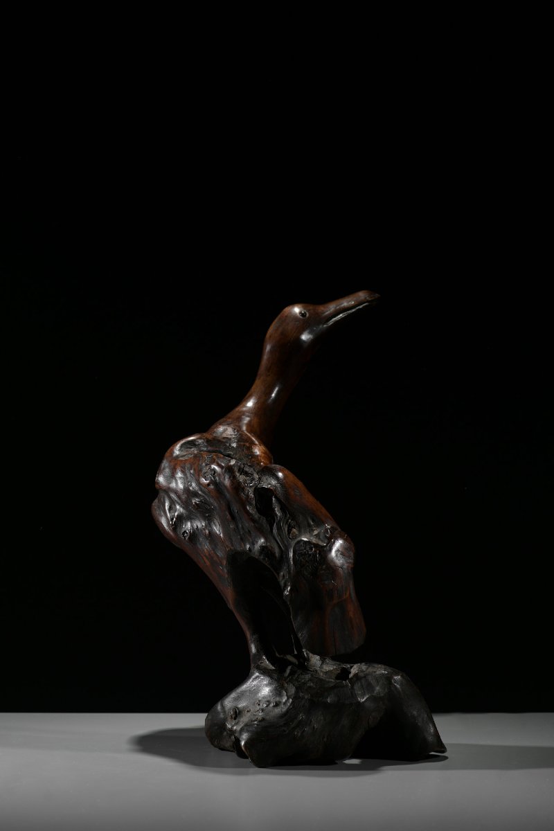 Scultura in radice naturale raffigurante un’oca-photo-3