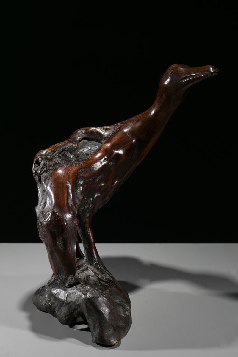 Scultura in radice naturale raffigurante un’oca-photo-4