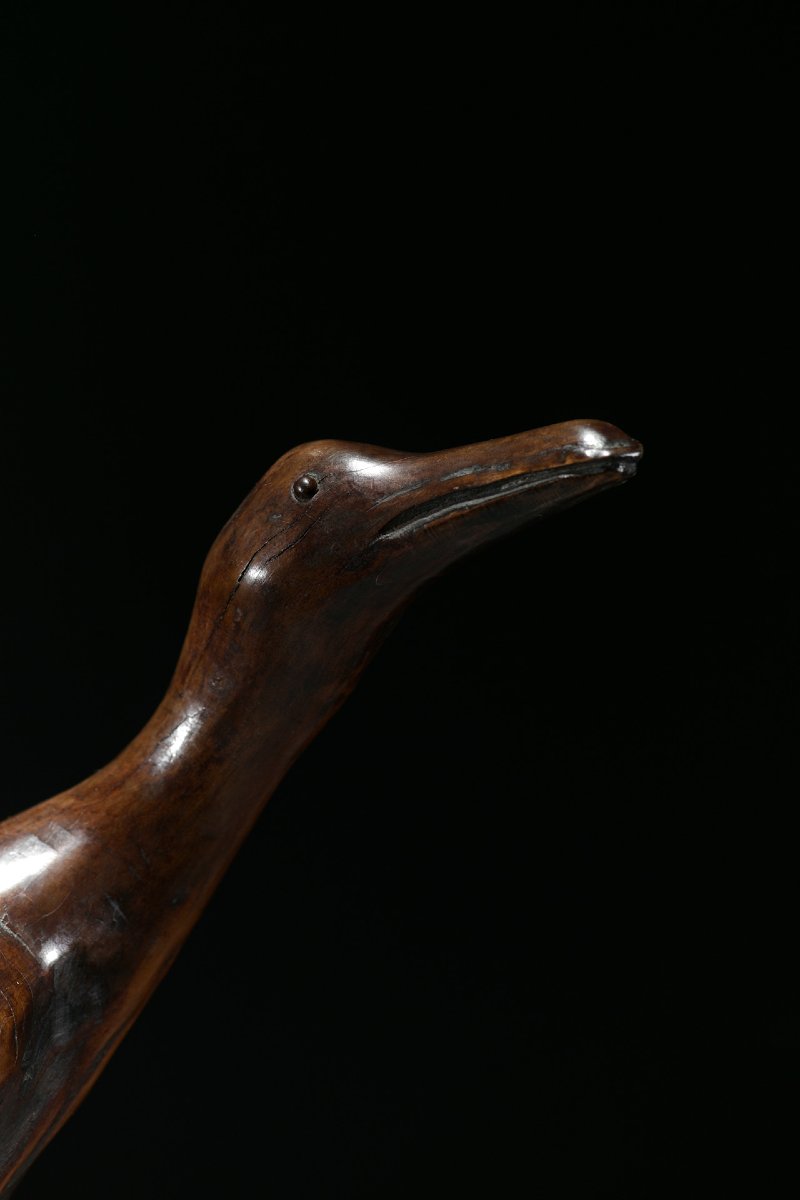 Scultura in radice naturale raffigurante un’oca-photo-1