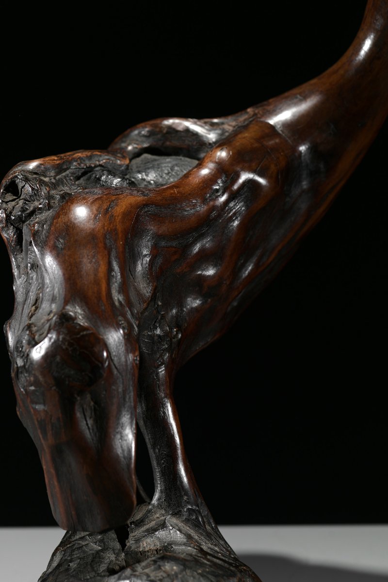 Scultura in radice naturale raffigurante un’oca-photo-2