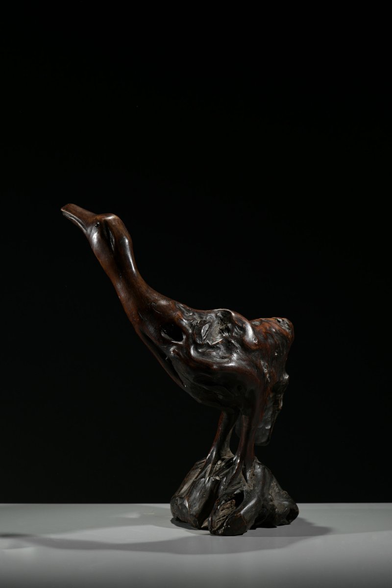 Scultura in radice naturale raffigurante un’oca-photo-3
