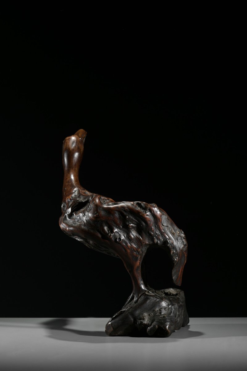 Scultura in radice naturale raffigurante un’oca-photo-4