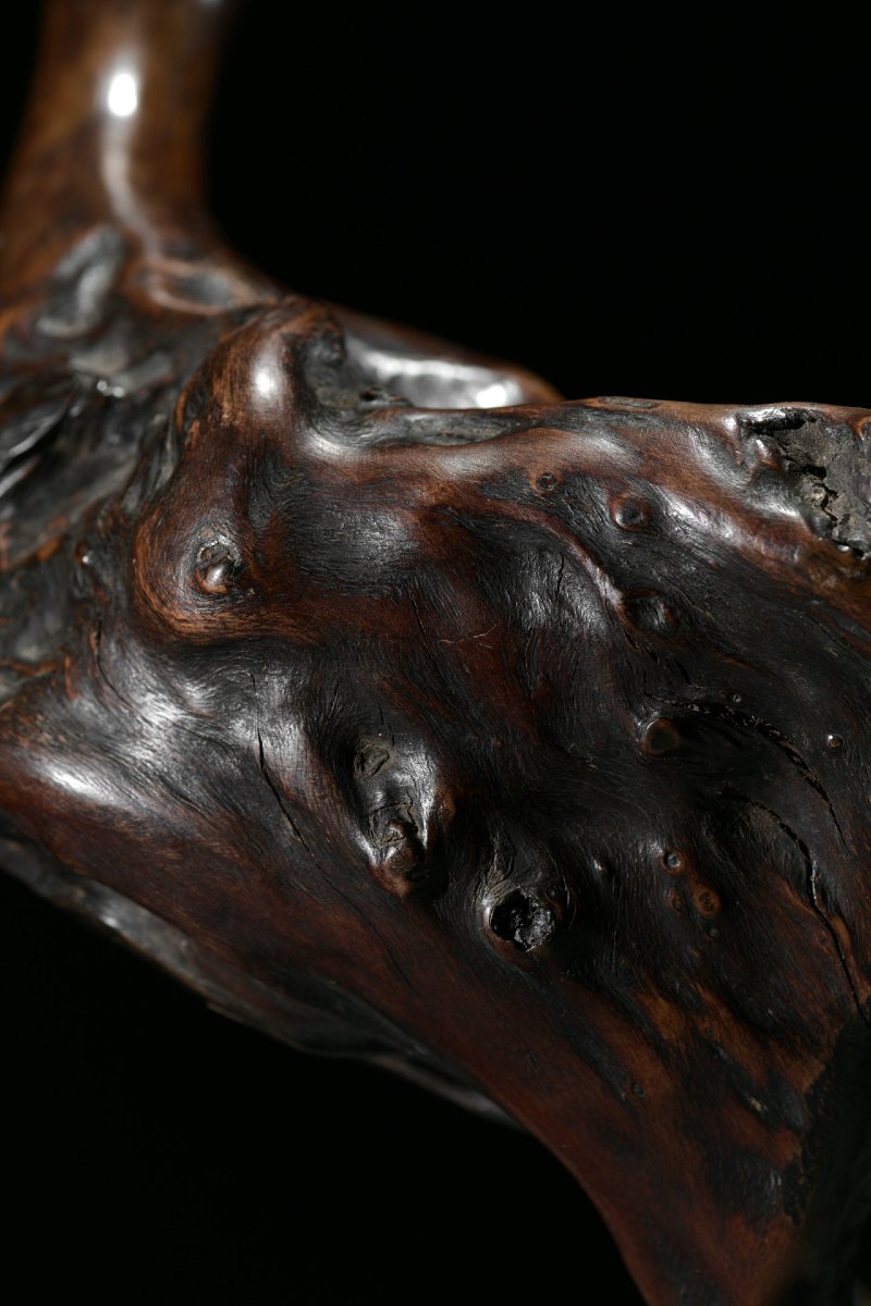 Scultura in radice naturale raffigurante un’oca-photo-5