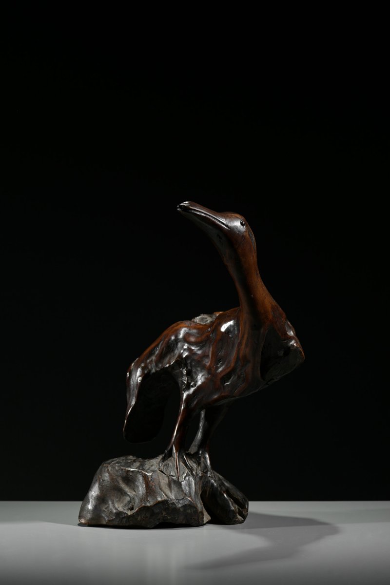 Scultura in radice naturale raffigurante un’oca