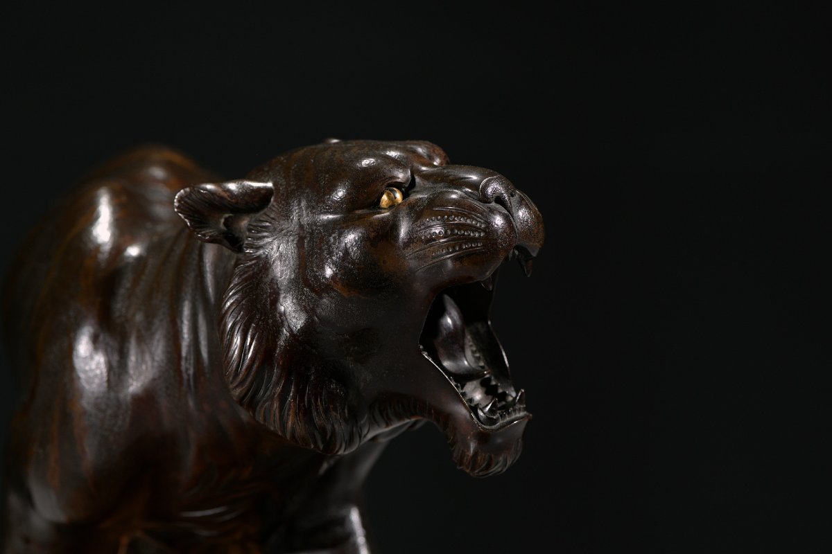 Scultura in bronzo patinato raffigurante una tigre, firmato Maruki Sei-photo-4