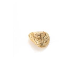 Netsuke in avorio scimmia che esce da una castagna 