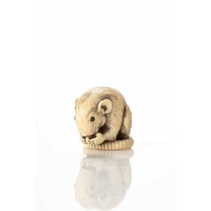 Netsuke in avorio raffigurante un topo