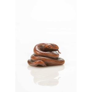Netsuke in legno di bosso raffigurante un serpente avvolto su se stesso