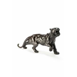 Scultura bronzo a patina scura di qualità raffigurante lo studio di una potente tigre 
