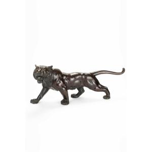 Scultura in bronzo patinato raffigurante lo studio di una potente tigre ruggente