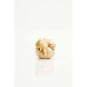 Netsuke giapponese in avorio marino raffigurante un cucciolo 