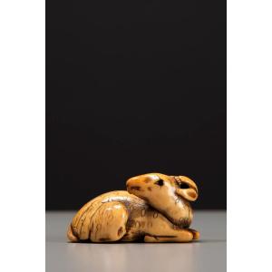 Netsuke in avorio raffigurante un cervo accovacciato