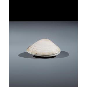 Scatola portaincenso conchiglia con iscrizioni waka