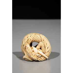 Netsuke in avorio raffigurante un drago avvolto su se stesso