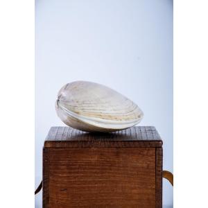 Boîte à encens en forme de coquillage