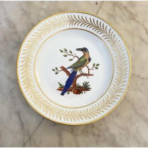 Nast Porcelain Ornithological Plate