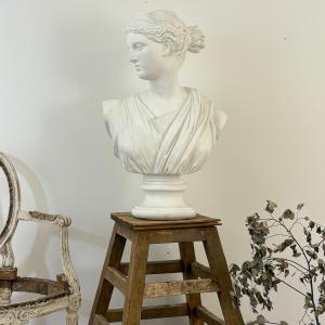 Large Plaster Bust Of Diana
