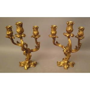 Pair Of Louis XV Style Candelabra In Bronze