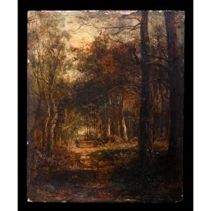 Oil On Panel, 19th Century. Lively Woodland Landscape, Barbizon Style.
