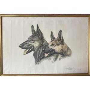 Leon Danchin (1887-1938) Polychrome Engraving “german Shepherds”
