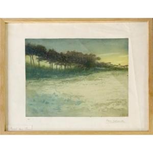 Pierre Labrouche (1876-1956) “engraved Pines” Original Color Engraving On Vellum Paper