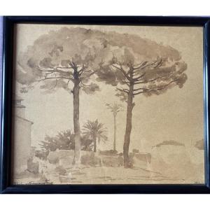 Marie-louise Lustremant (1880-1965) Mediterranean Landscape With Umbrella Pines And Palm Trees.