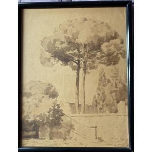 Marie-louise Lustremant (1880-1965) Southern Landscape With Umbrella Pines