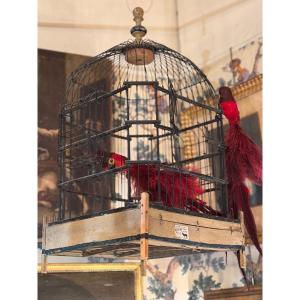 19th Century Parrot Birdcage In Iron And Wood, Folk Art Décor