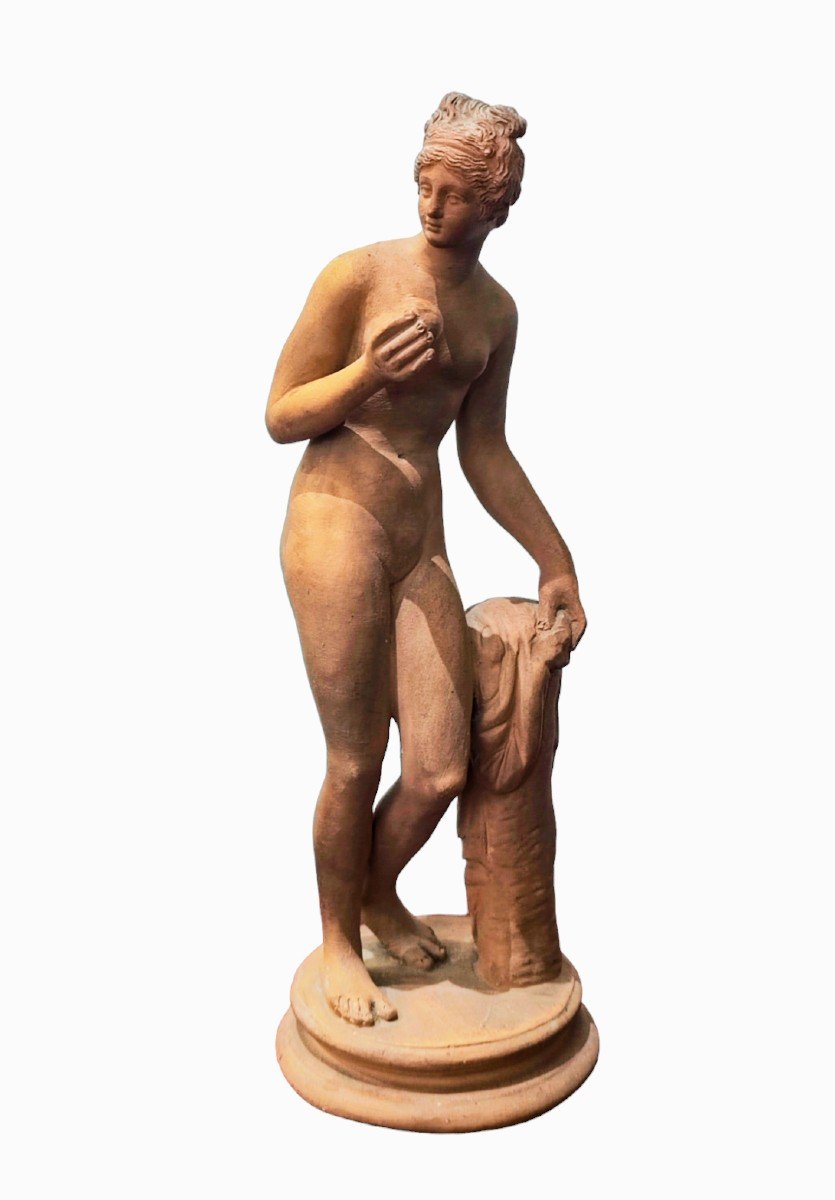 Antica scultura in terracotta della " Venere del pomo " periodo del Grand Tour