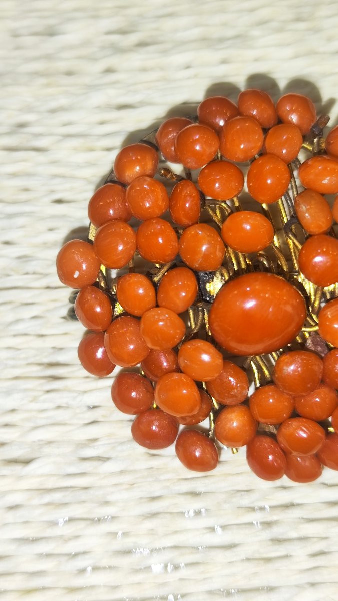Spilla in corallo rosso del XIX secolo -photo-3